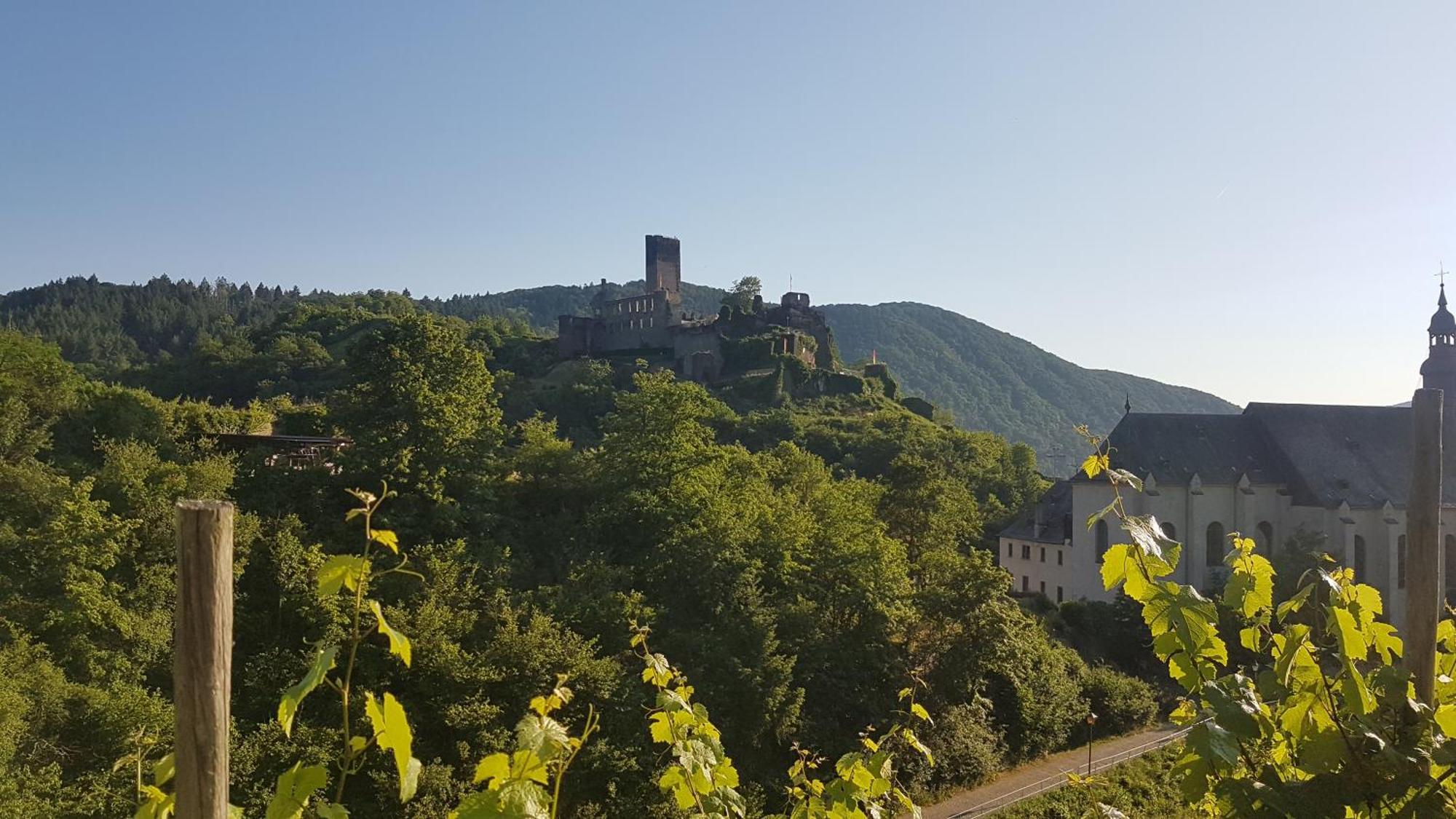Im Beilsteiner Muehlental Appartement Beilstein  Buitenkant foto