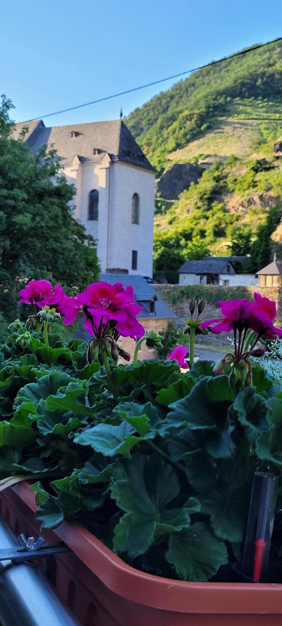 Im Beilsteiner Muehlental Appartement Beilstein  Buitenkant foto